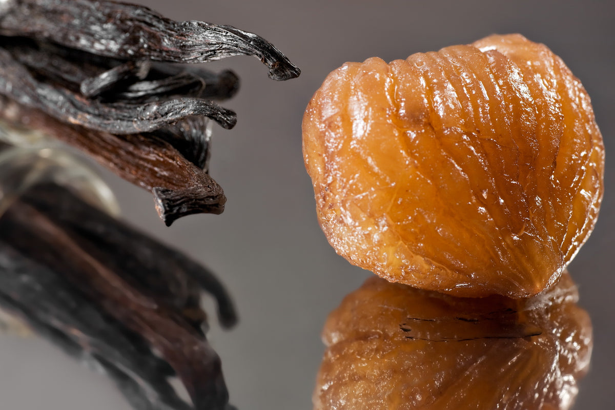 Gros plan sur un marron glacé et des gousses de vanille