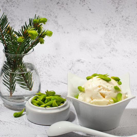 Crème glacée aux bourgeons de sapin